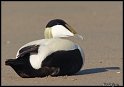 Helgoland_071