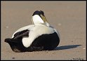 Helgoland_072