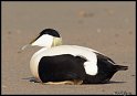 Helgoland_073