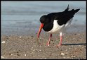 Helgoland_076