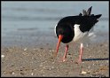 Helgoland_077