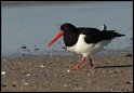 Helgoland_078