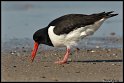 Helgoland_080