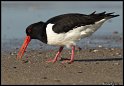 Helgoland_082