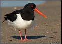 Helgoland_088