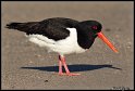 Helgoland_089