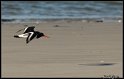 Helgoland_090