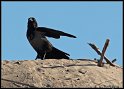 Helgoland_093