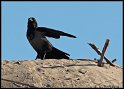 Helgoland_093