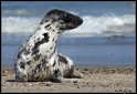 Helgoland_118