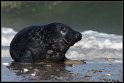 Helgoland_123