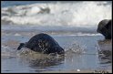 Helgoland_125