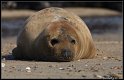 Helgoland_127