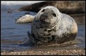 Helgoland_130