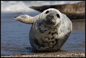 Helgoland_131