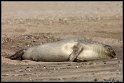 Helgoland_150