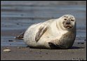 Helgoland_154