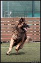 Agi_BO_116