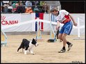 WC_Agi_2010_041