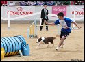 WC_Agi_2010_049