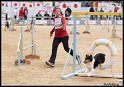 WC_Agi_2010_120