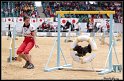 WC_Agi_2010_130