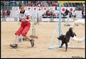 WC_Agi_2010_131