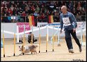 WC_Agi_2010_134
