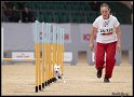 WC_Agi_2010_162