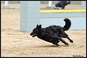 WC_Agi_2010_2_095