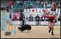 WC_Agi_2010_2_261