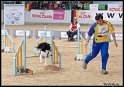 WC_Agi_2010_3_215