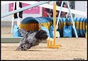 WC_Agi_2010_3_260