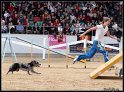 WC_Agi_2010_3_289