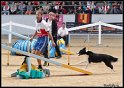WC_Agi_2010_3_356