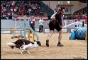 WC_Agi_2010_3_379