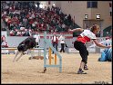 WC_Agi_2010_3_393