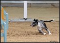 WC_Agi_2010_3_449