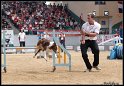 WC_Agi_2010_3_535