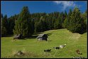 Slovinsko_2010_003