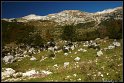 Slovinsko_2010_032