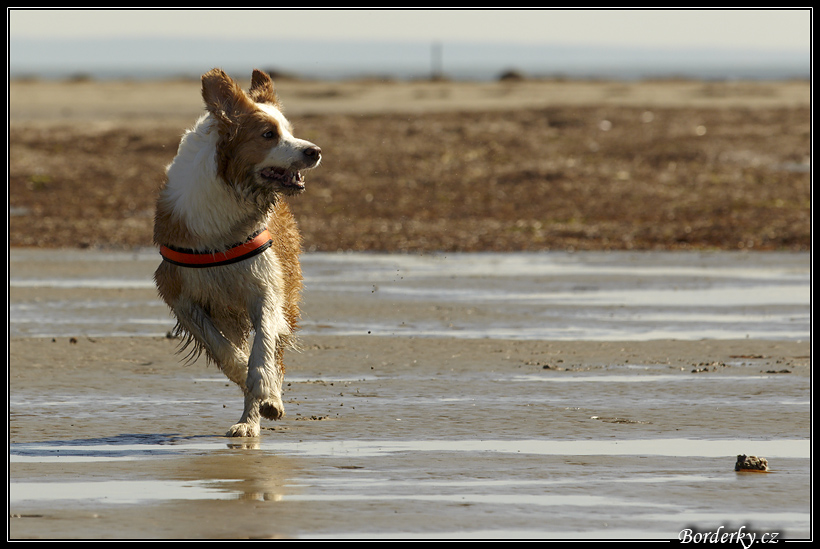 Slovinsko_2010_Grado_001.jpg