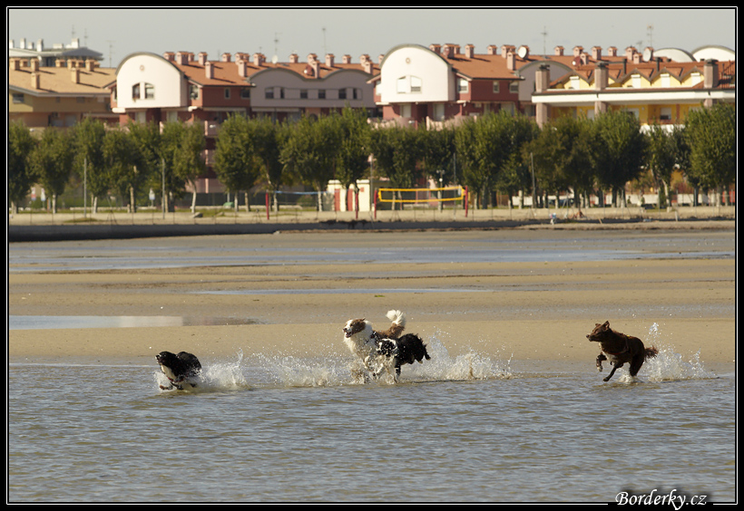 Slovinsko_2010_Grado_005.jpg