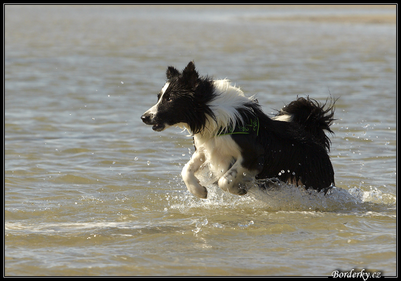 Slovinsko_2010_Grado_012.jpg