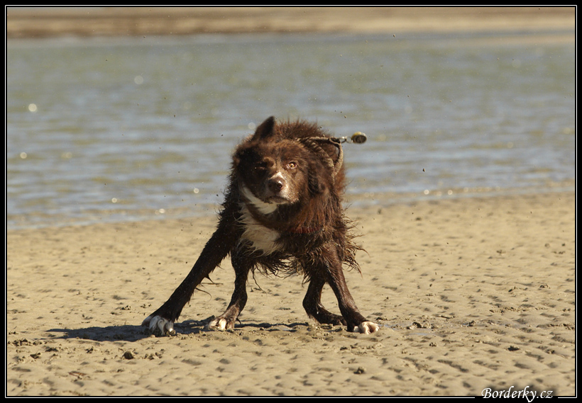 Slovinsko_2010_Grado_013.jpg