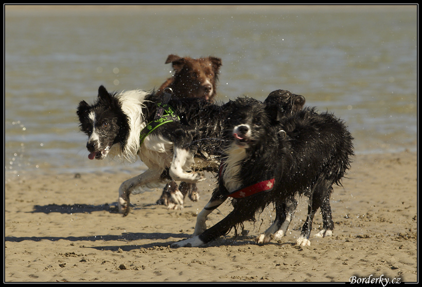 Slovinsko_2010_Grado_018.jpg