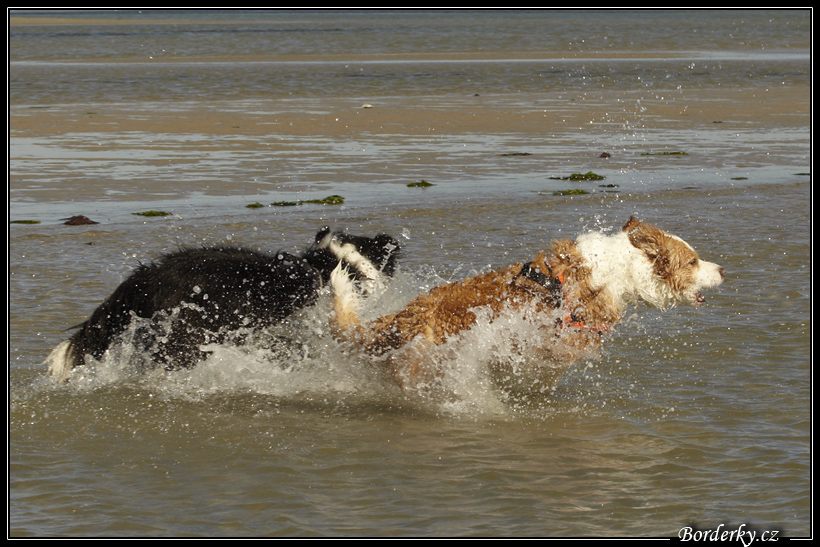 Slovinsko_2010_Grado_032.jpg