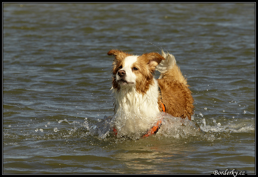 Slovinsko_2010_Grado_035.jpg