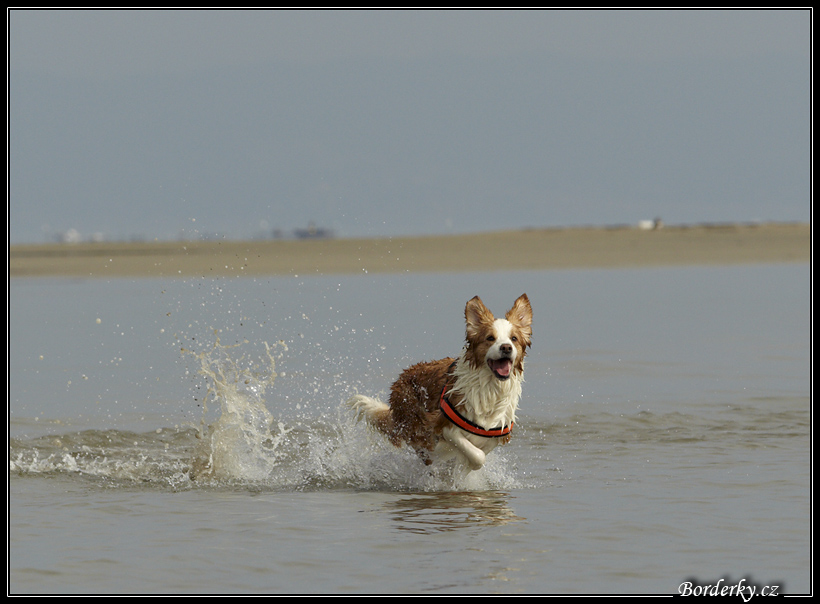 Slovinsko_2010_Grado_054.jpg