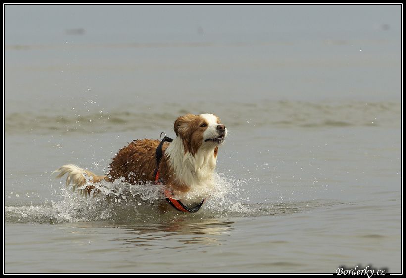 Slovinsko_2010_Grado_056.jpg